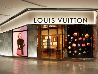 Οι τσάντες Louis Vuitton έγιναν... τουαλέτα (φωτογραφίες και βίντεο)